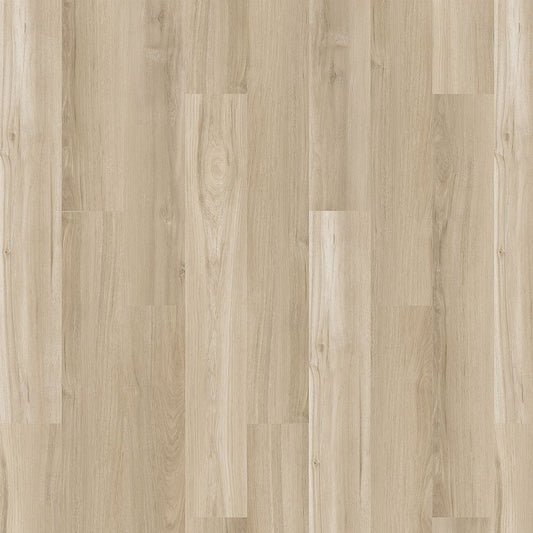 SolidTech Essentials | Arbor Terrace