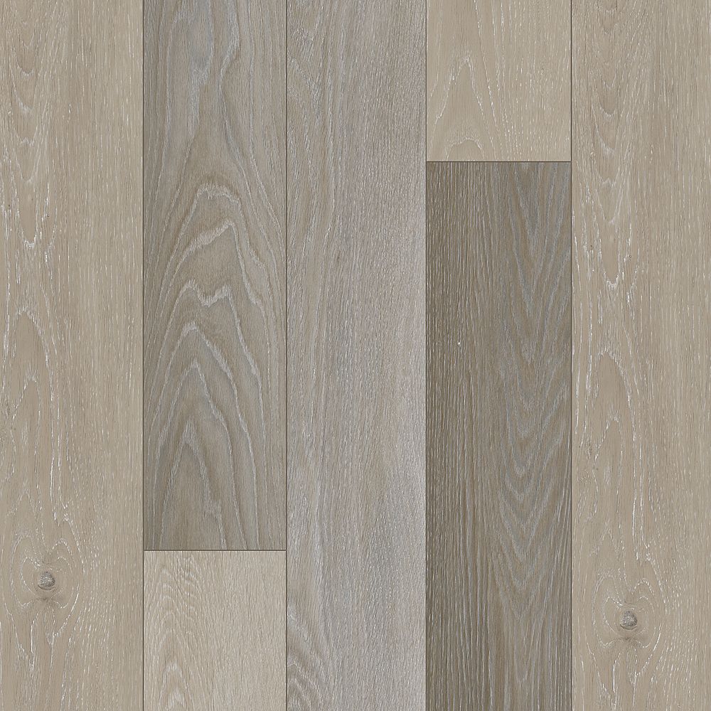 SolidTech Select | Explorer's Cove