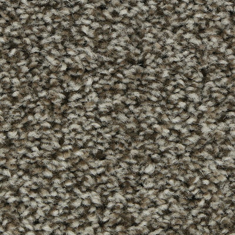 SmartStrand | Polished Shades II