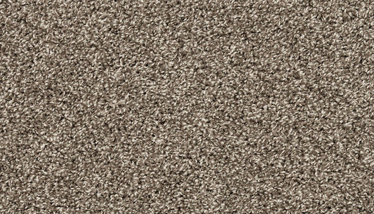 PetPremier | Diffurent Choice II