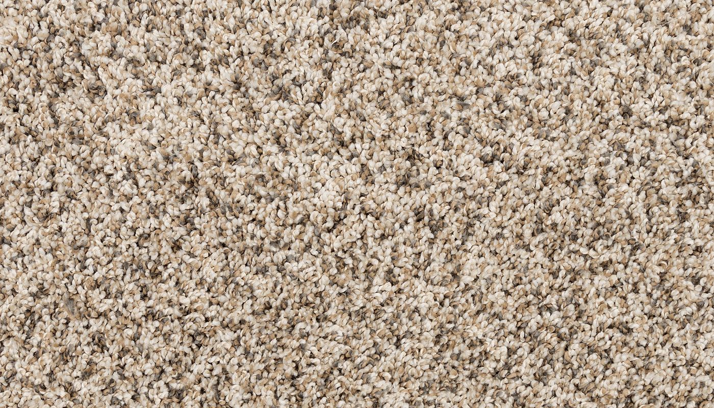 PetPremier | Diffurent Choice I