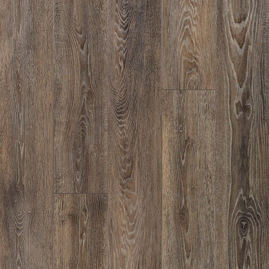 SolidTech Select | Founder's Trace