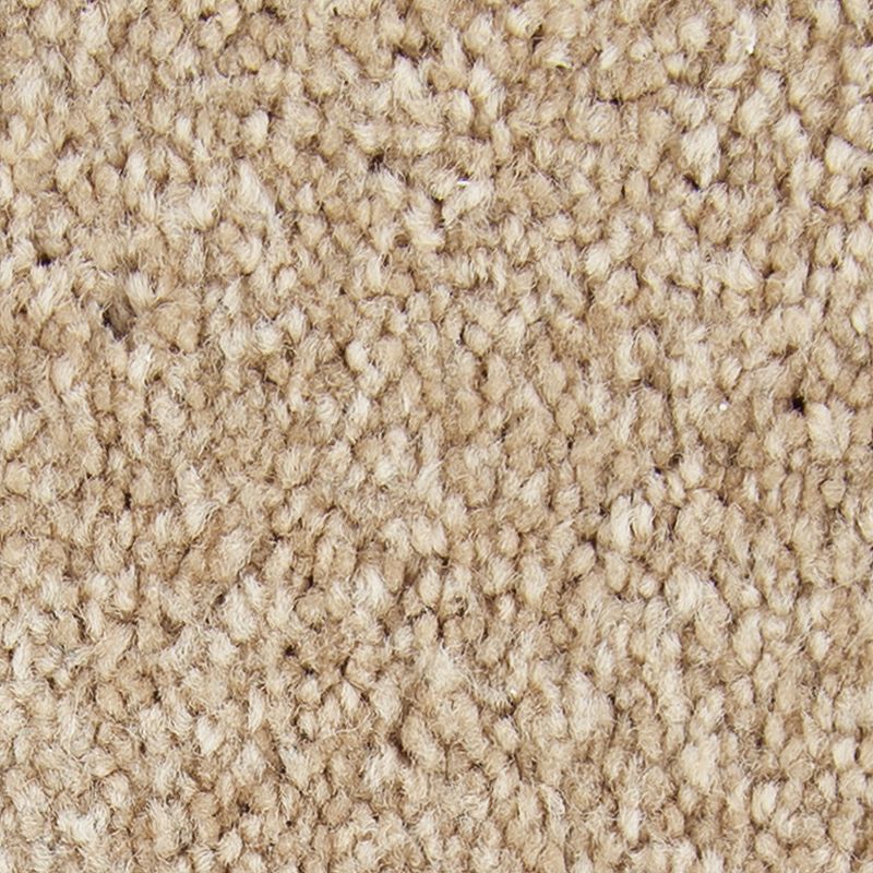 SmartStrand | Noteworthy Selection