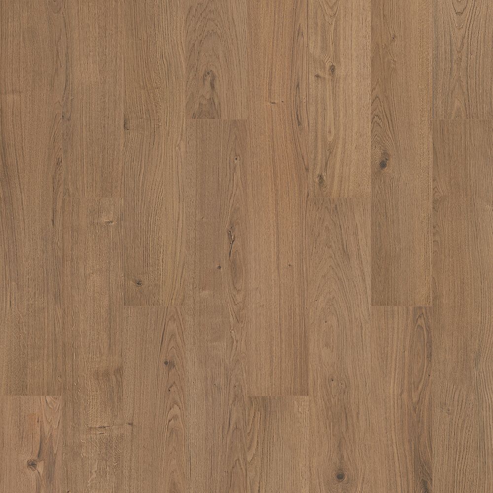 SolidTech R Select | Ashland Crest