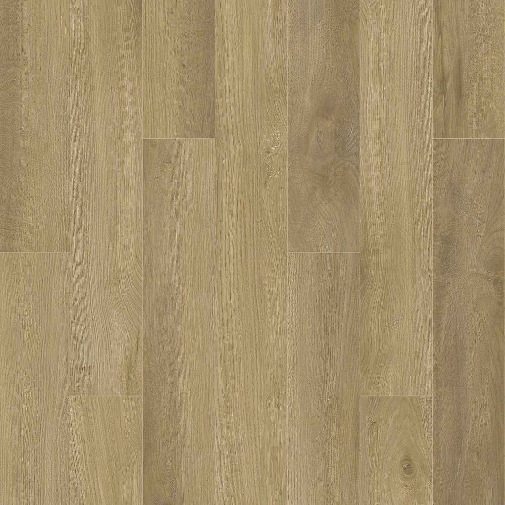 SolidTech Essentials | Boxwood Gables