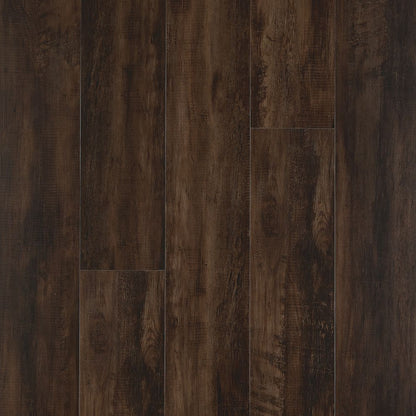 SolidTech Select | Explorer's Cove