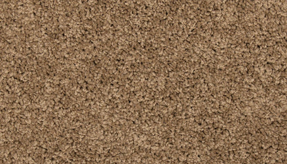 EverStrand | Renovate I