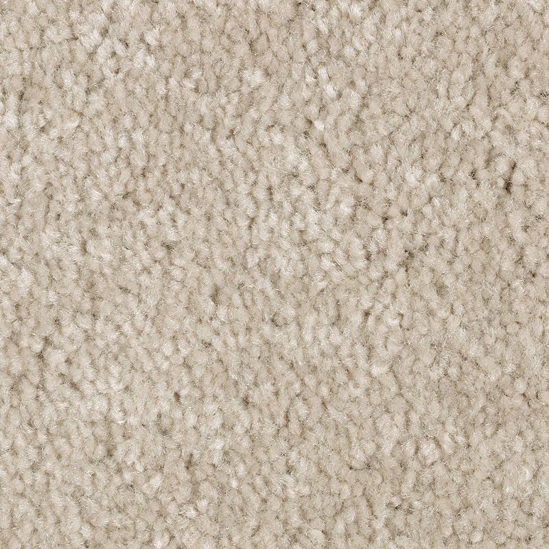EverStrand | Elegant Appeal III