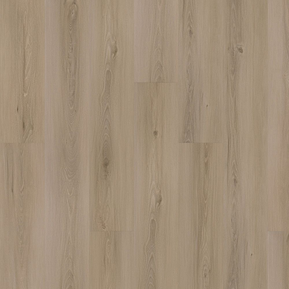 SolidTech Plus | Eastbrook Shoals