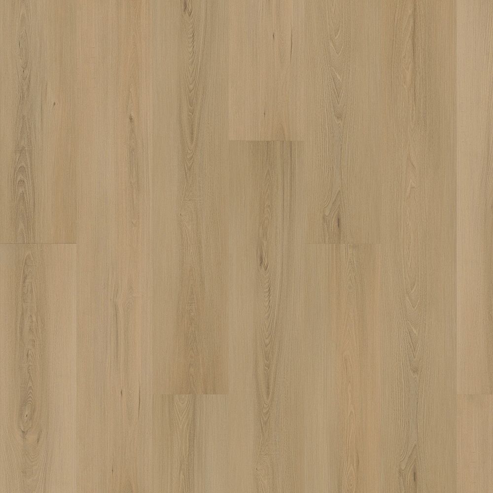 SolidTech Plus | Eastbrook Shoals
