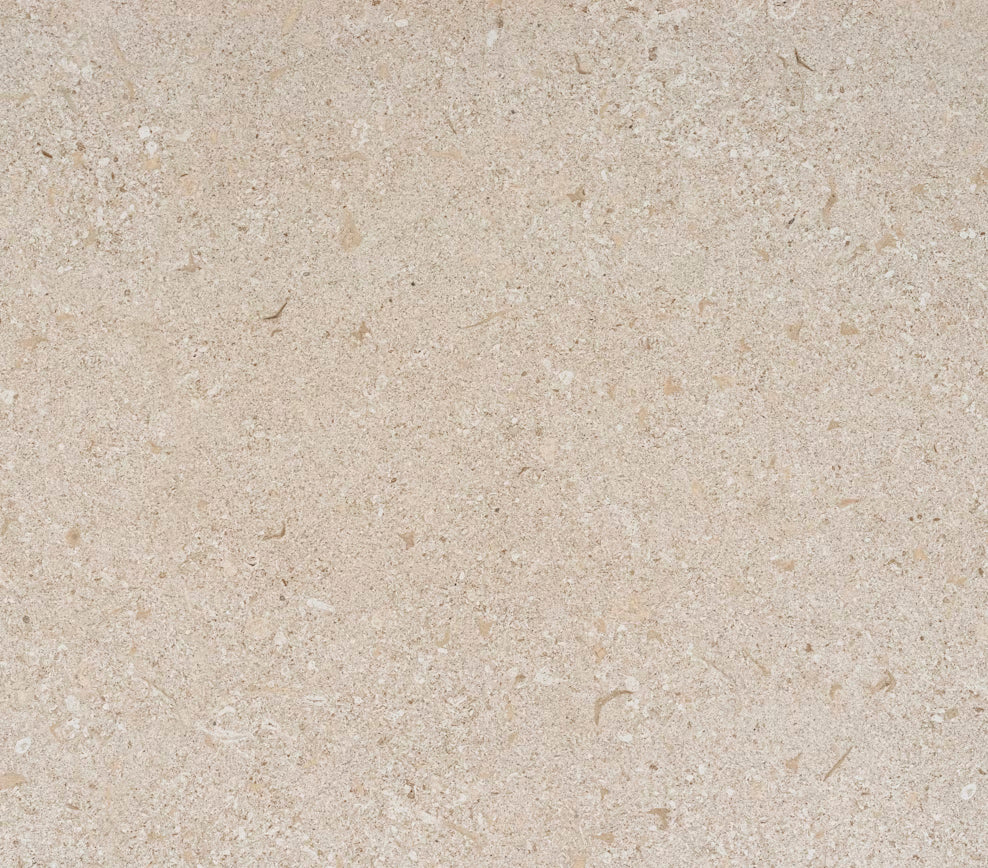Avorio