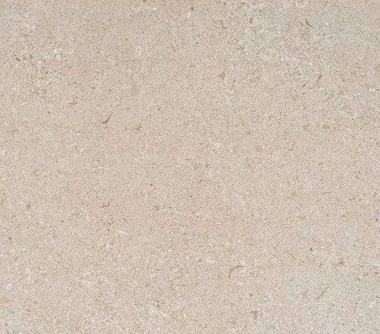 Avorio