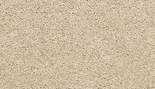 EverStrand | Bold Creation