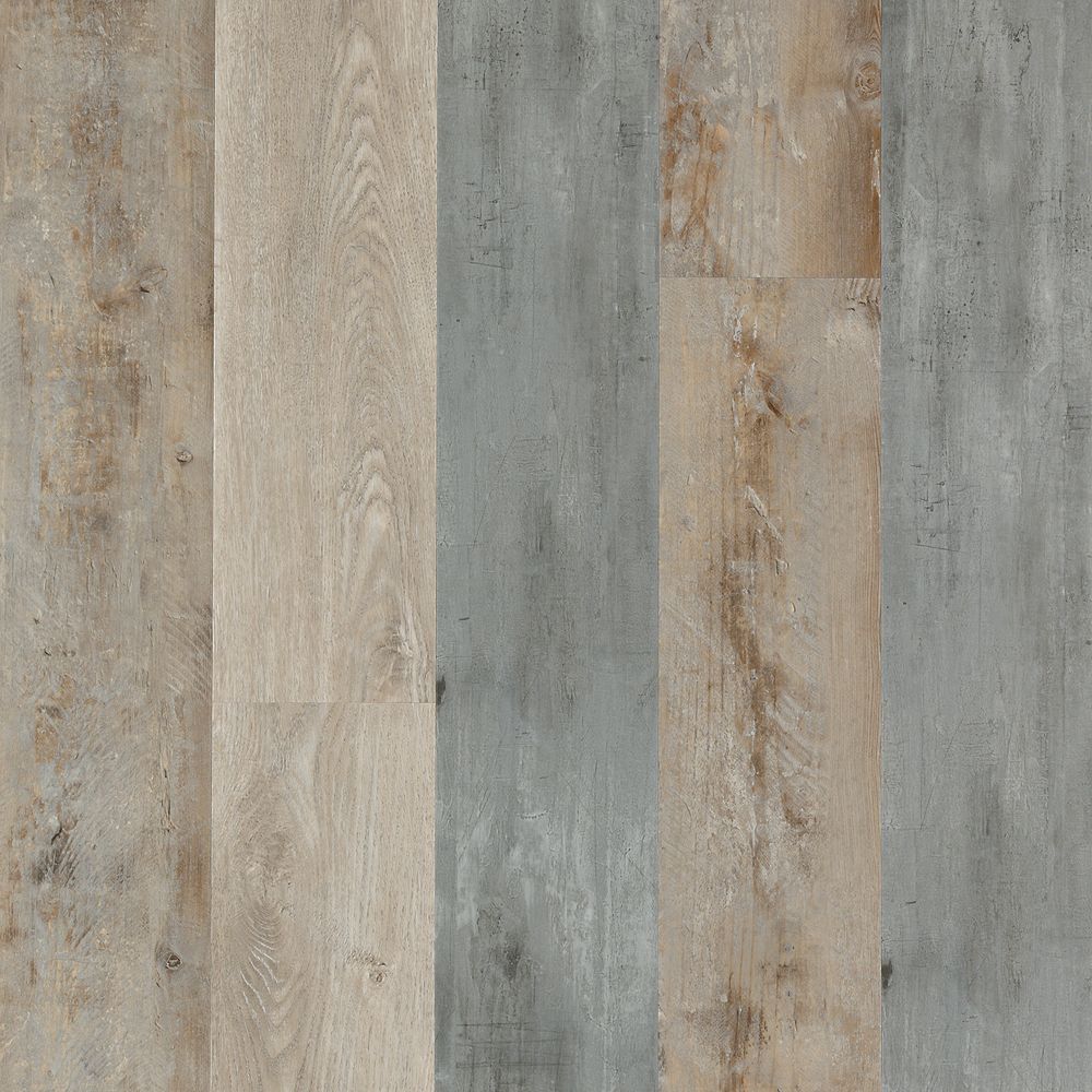 SolidTech Select | Explorer's Cove