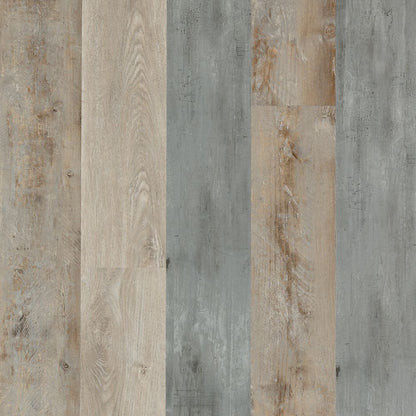 SolidTech Select | Explorer's Cove