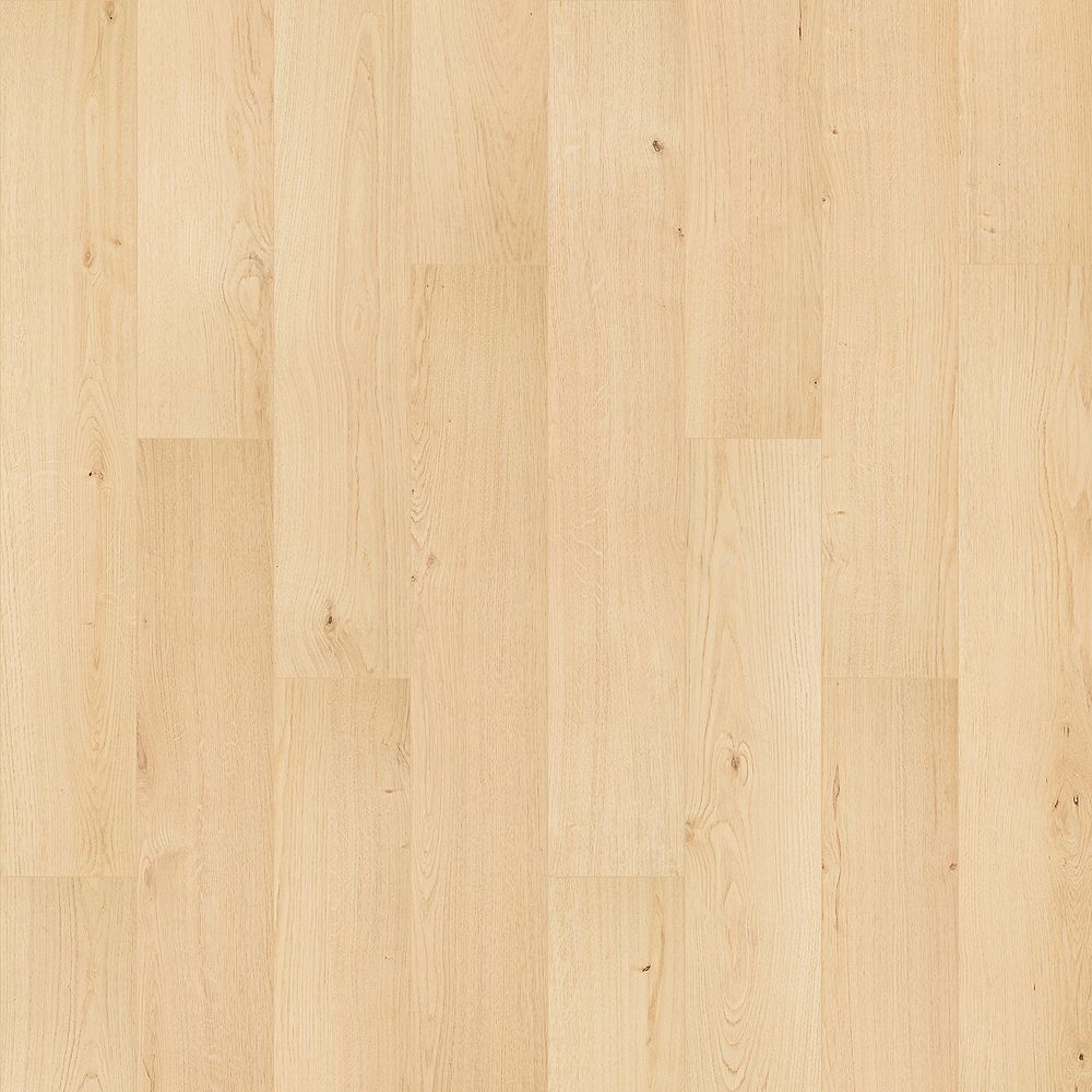 SolidTech R Select | Ashland Crest