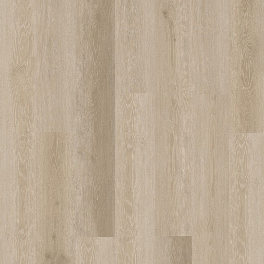 SolidTech Essentials | Boxwood Gables