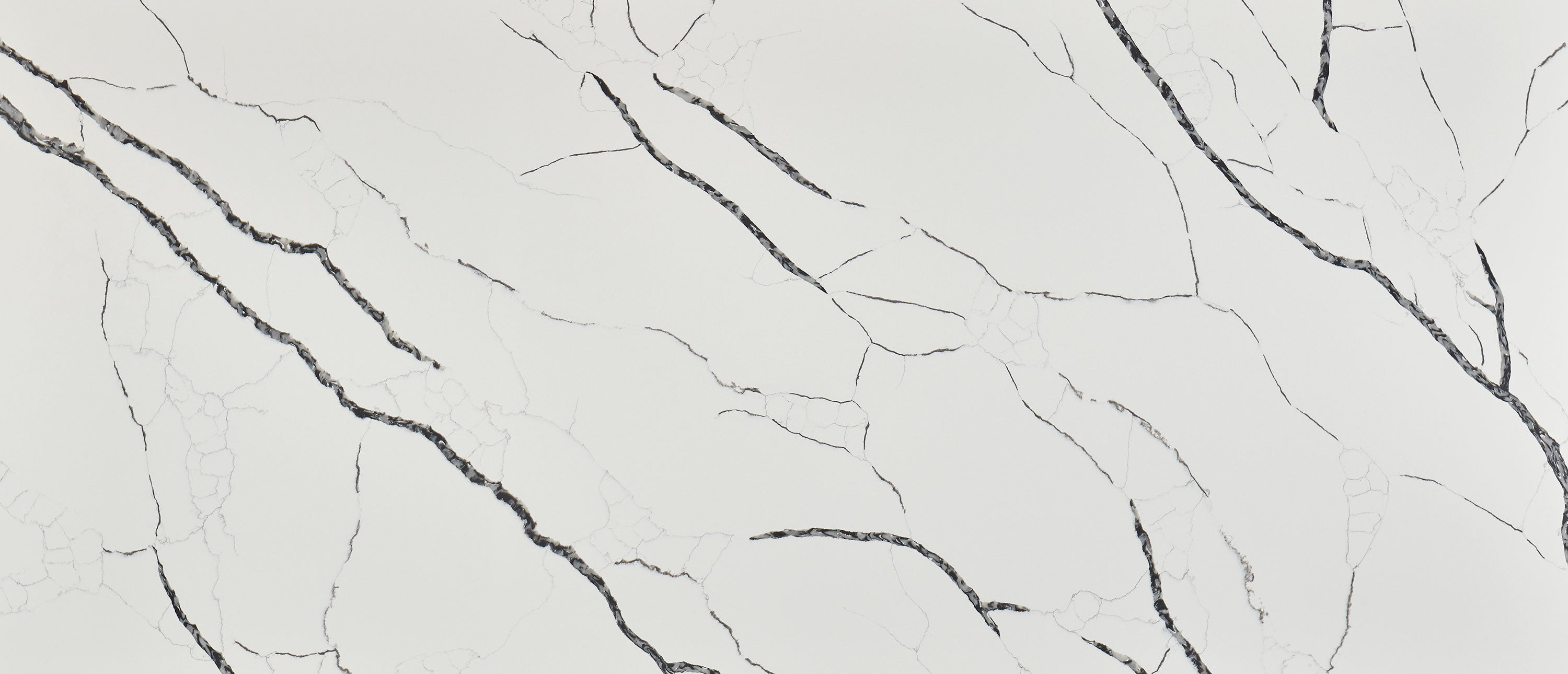 Calacatta Laza Night®