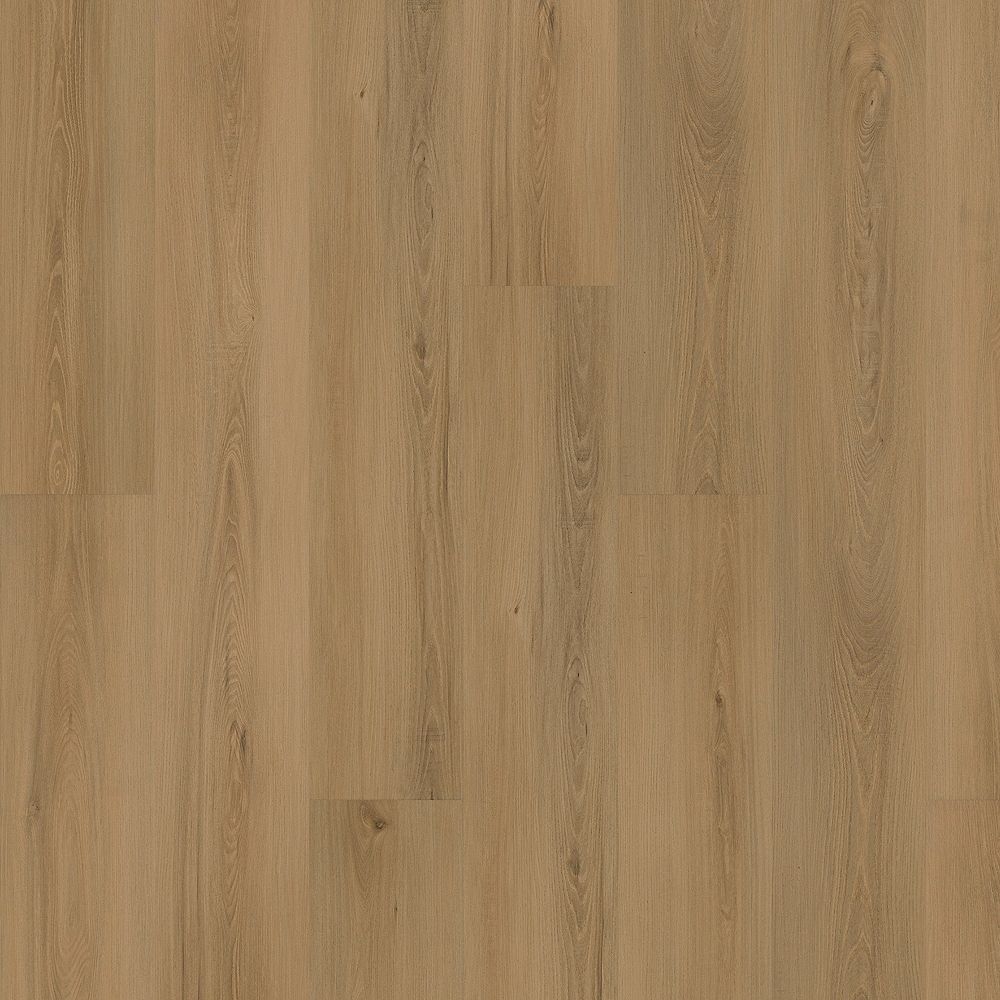 SolidTech Plus | Eastbrook Shoals