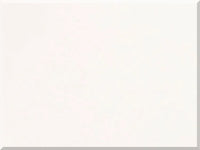 Pure White Quartz Slab