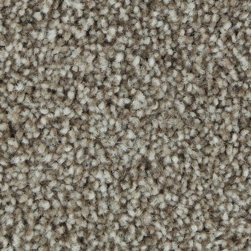 SmartStrand | Polished Shades II