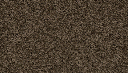 EverStrand | Renovate I