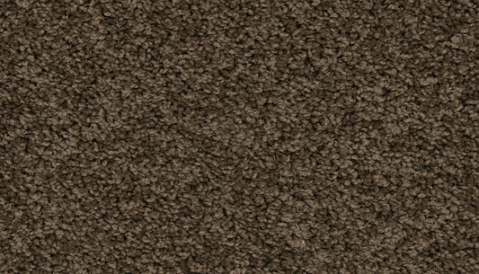 EverStrand | Renovate I