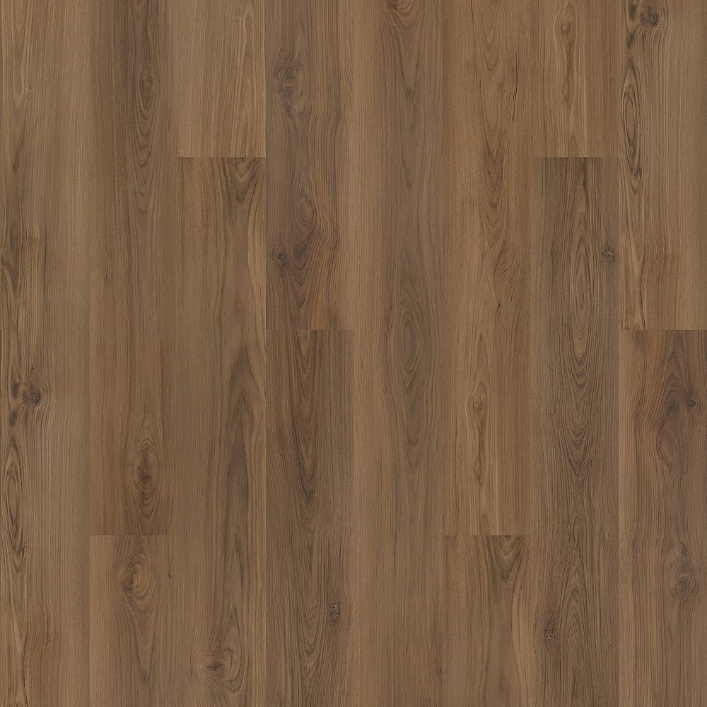 SolidTech Plus | Barker Hollow