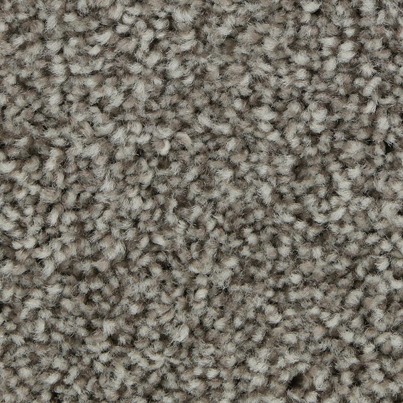 SmartStrand | Polished Shades II