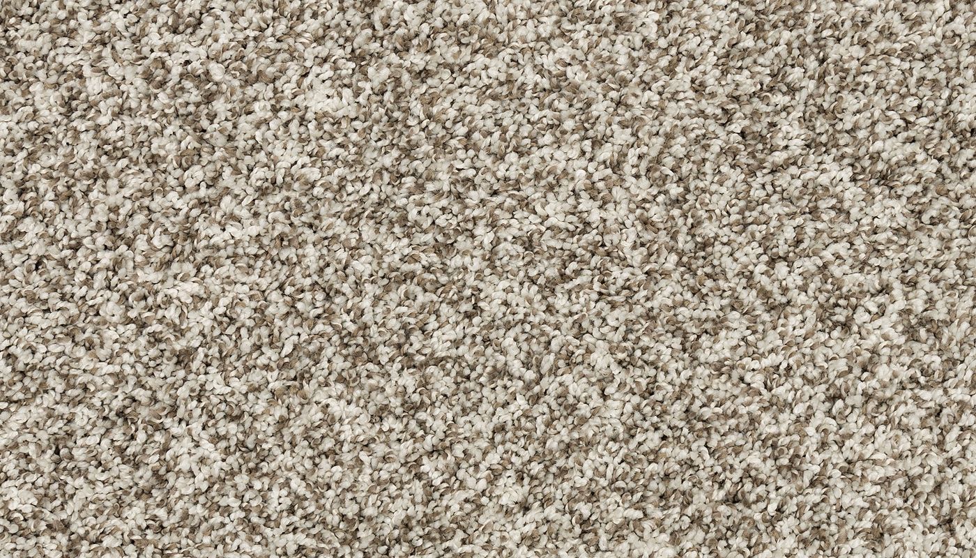 PetPremier | Diffurent Choice II