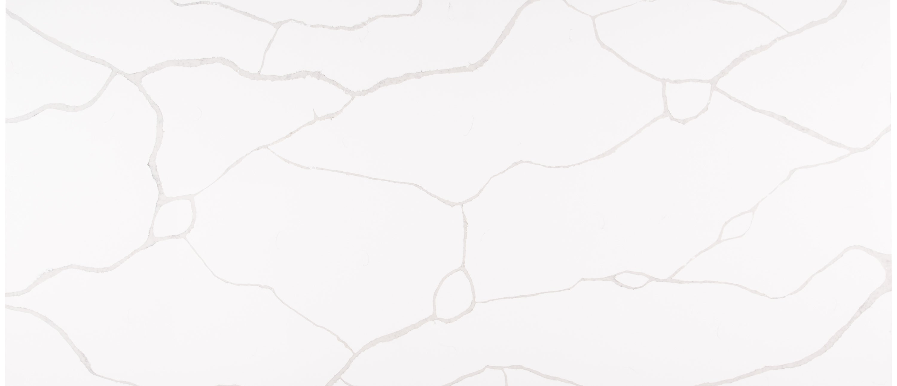 Calacatta Classique®