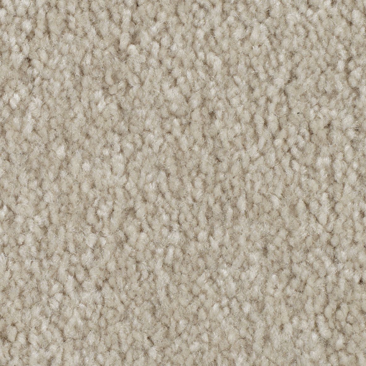 EverStrand | Elegant Appeal III
