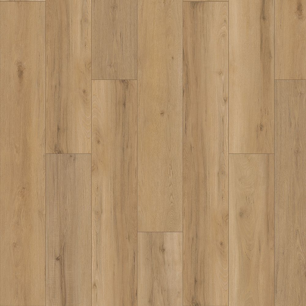 SolidTech Plus | Poppy Reserve