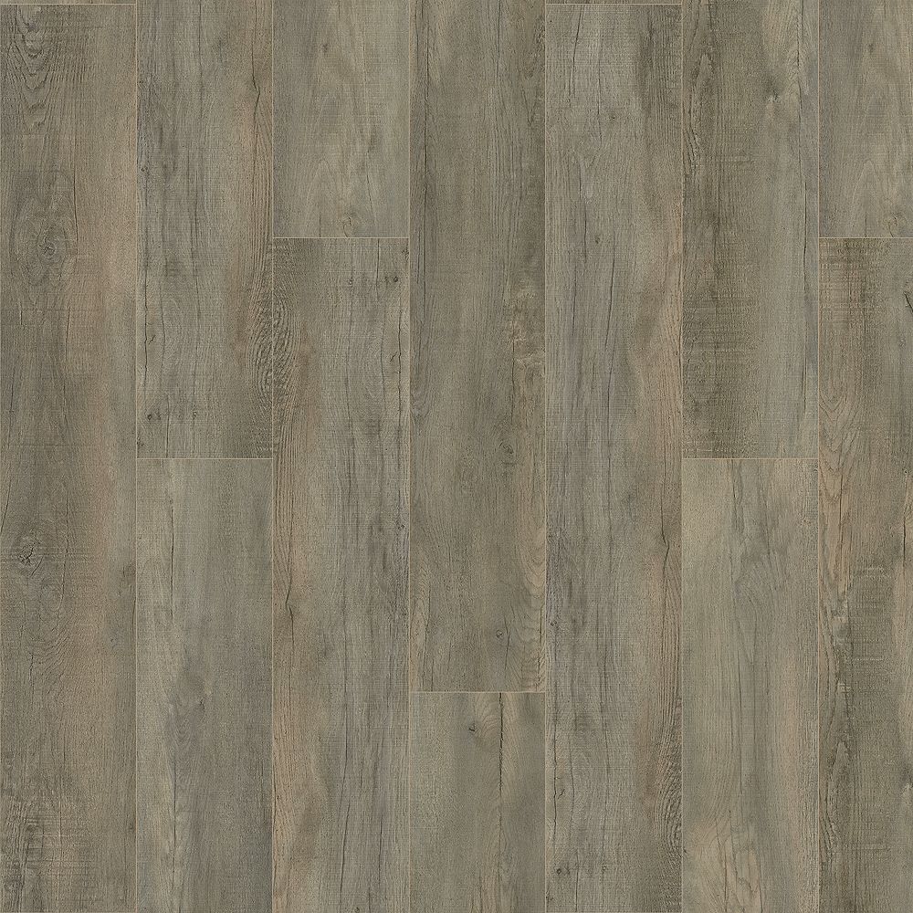 SolidTech Plus | Poppy Reserve