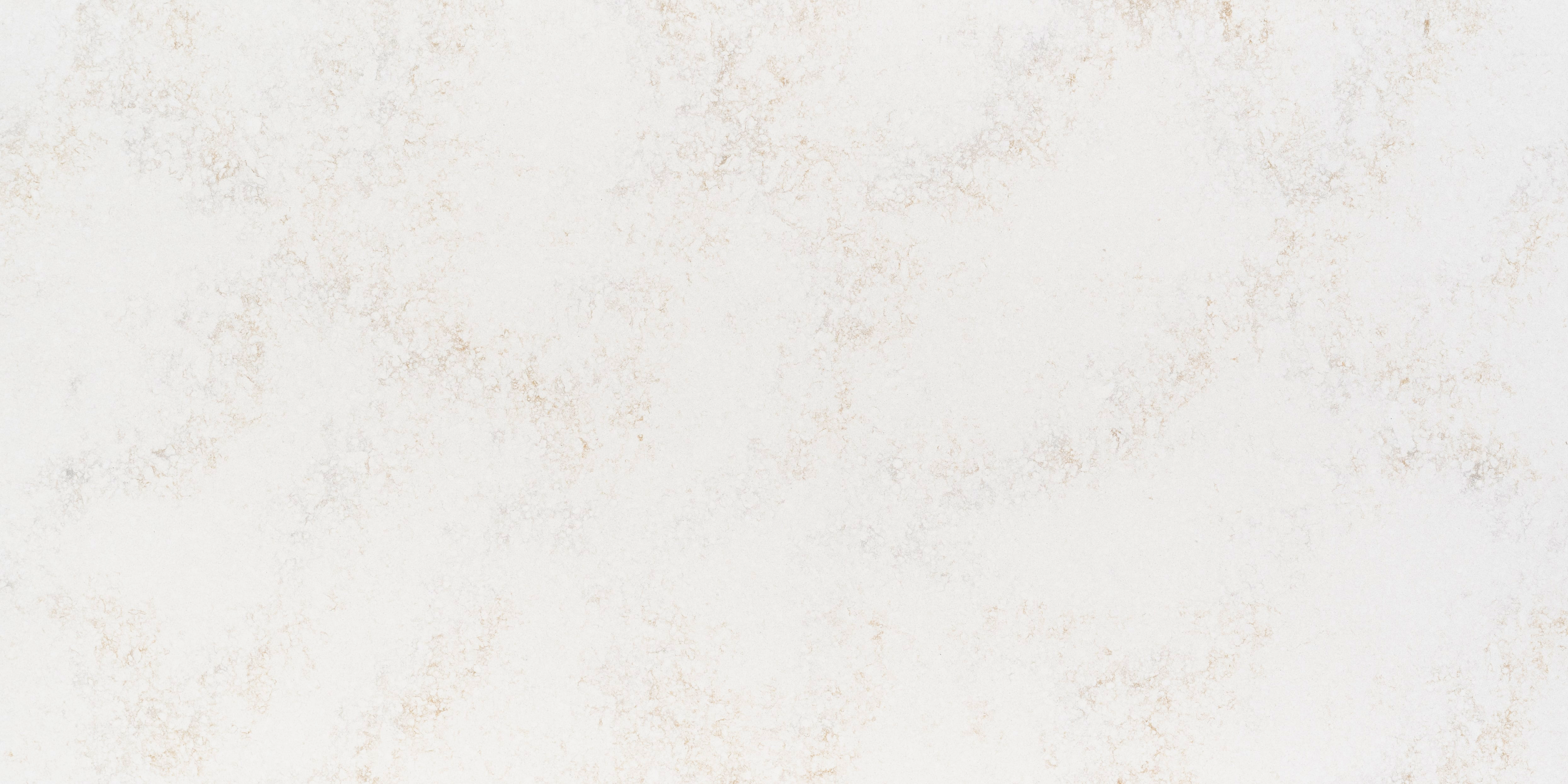 Ridge - MV516